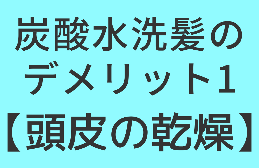 炭酸水洗髪のデメリット1【頭皮の乾燥】