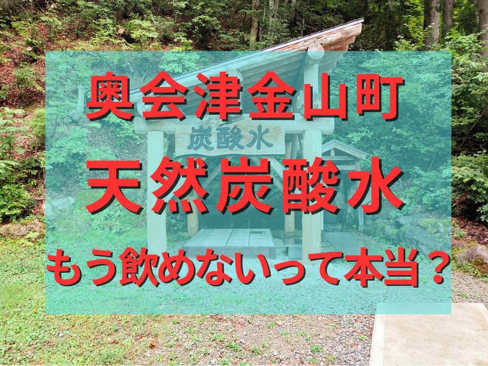 奥会津金山町天然炭酸水網飲めないって本当？