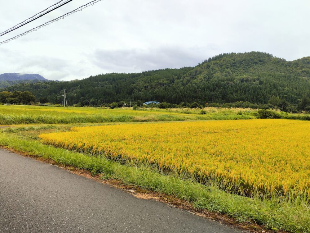 JR会津大塩駅周辺の田んぼとなだらかに連なる小高い丘の画像